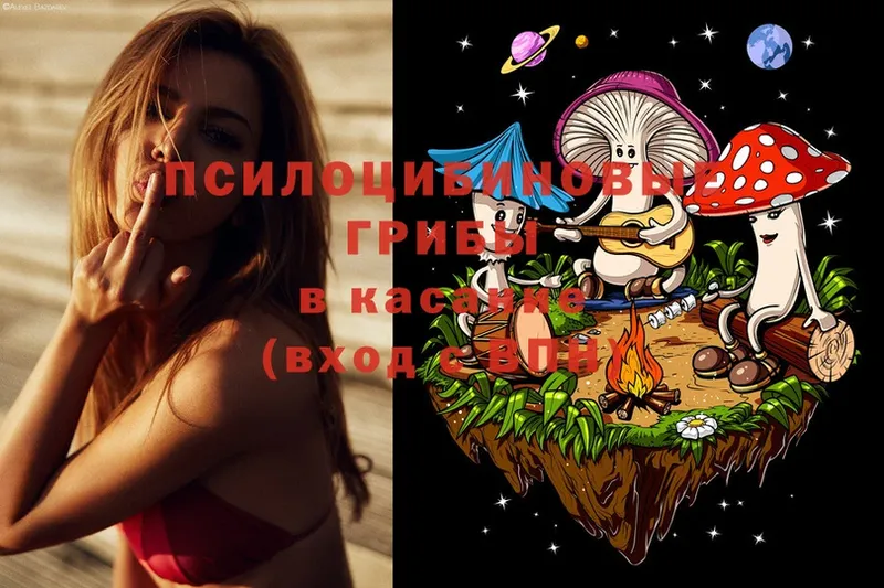 Псилоцибиновые грибы Magic Shrooms  Канск 